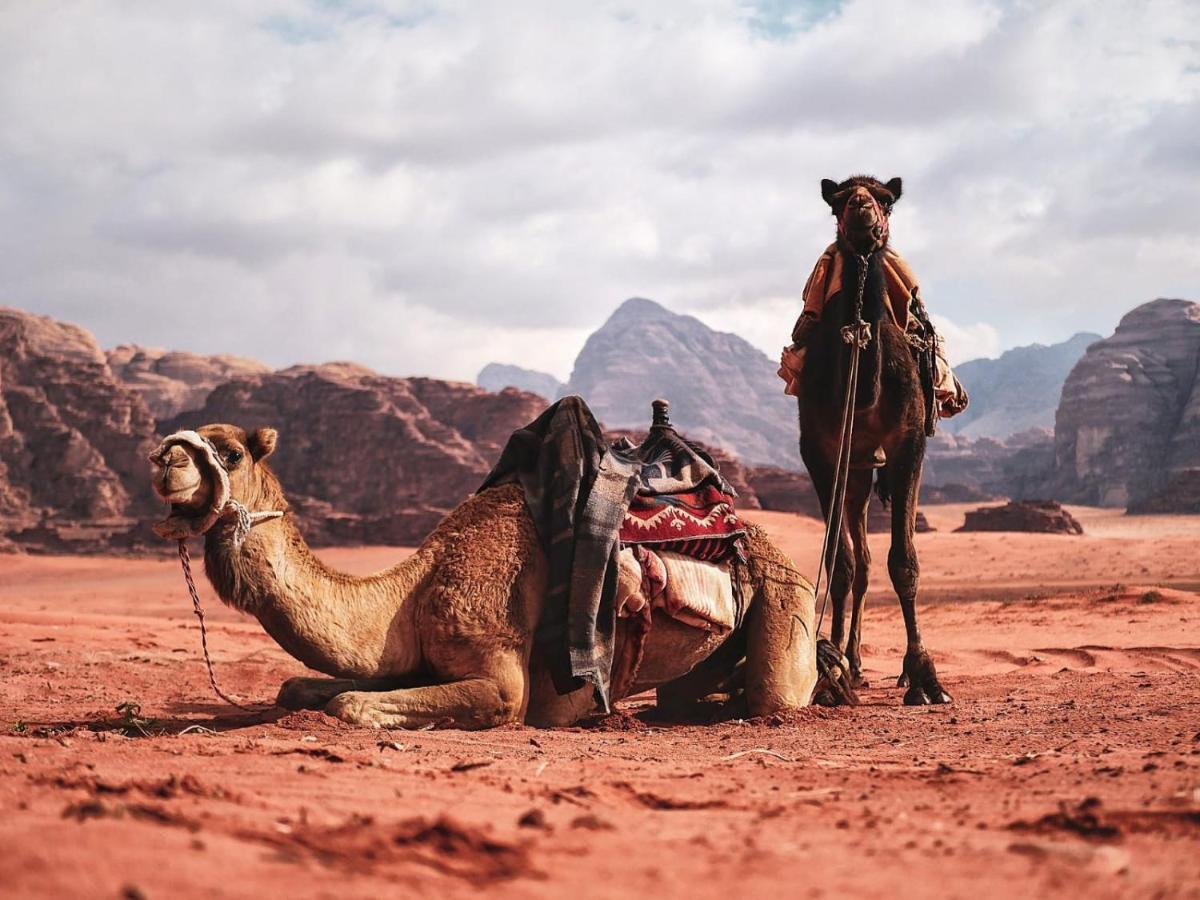 Wadi Rum Nights Kültér fotó