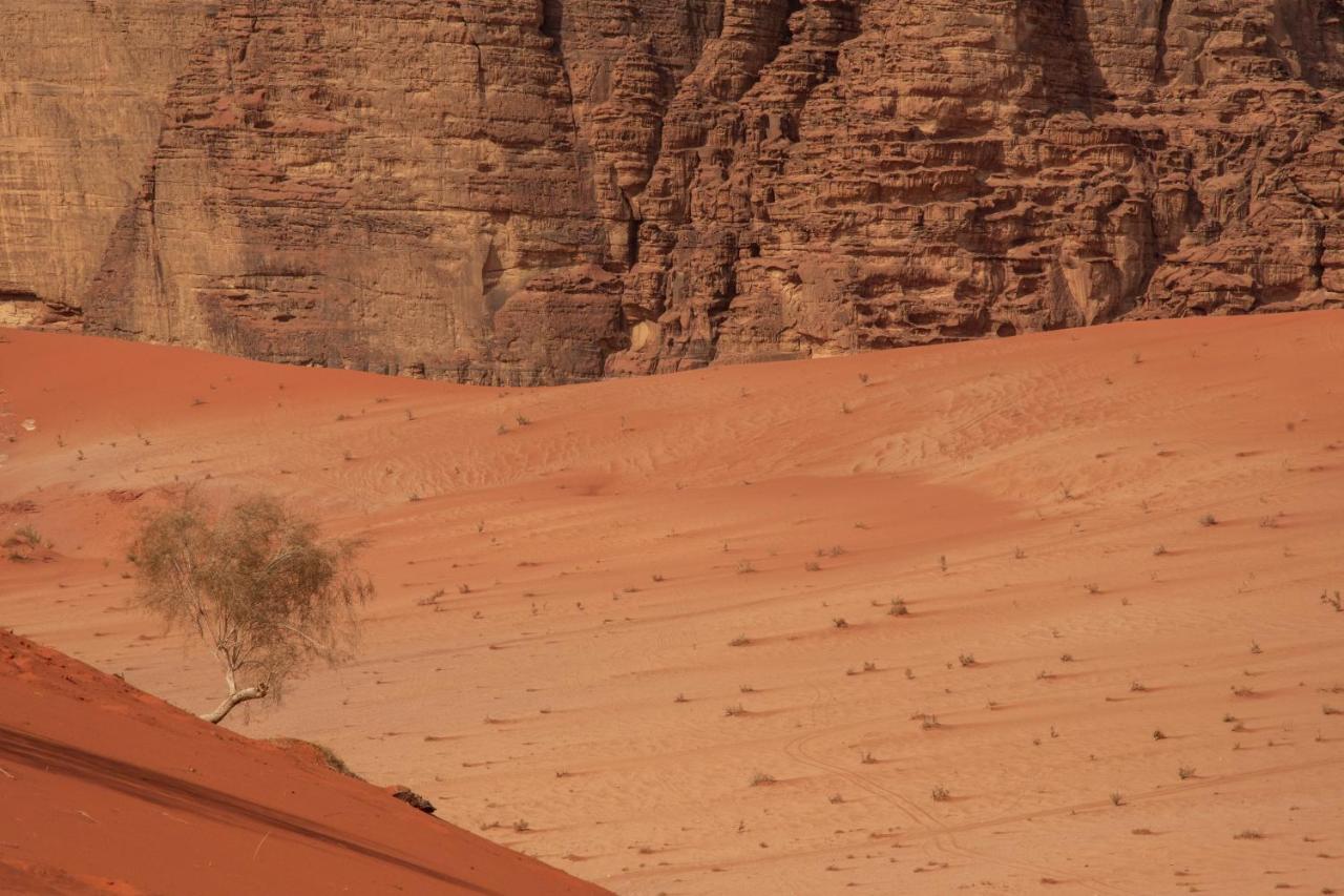 Wadi Rum Nights Kültér fotó