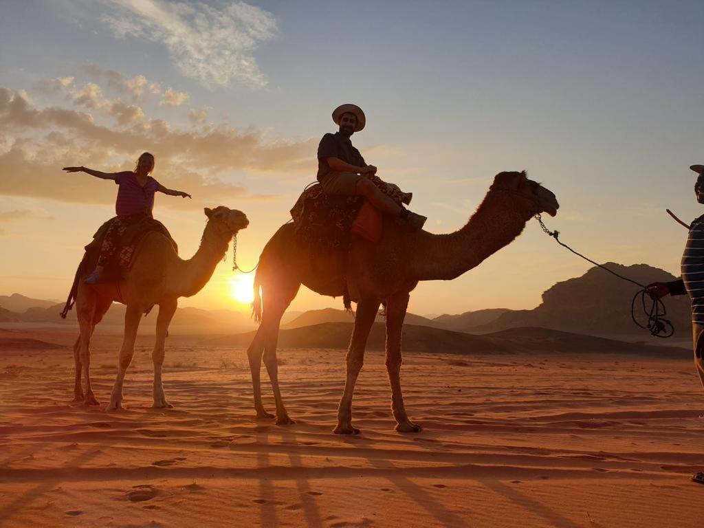 Wadi Rum Nights Kültér fotó