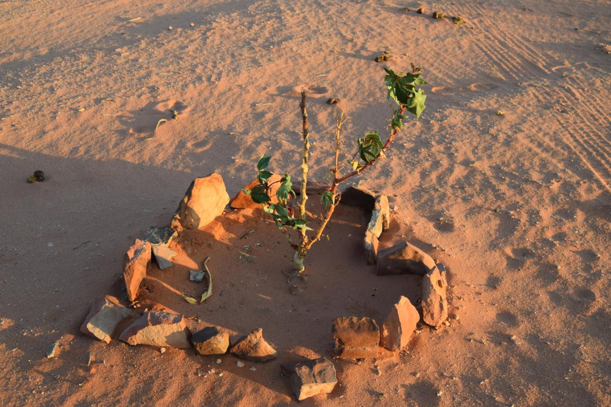 Wadi Rum Nights Kültér fotó