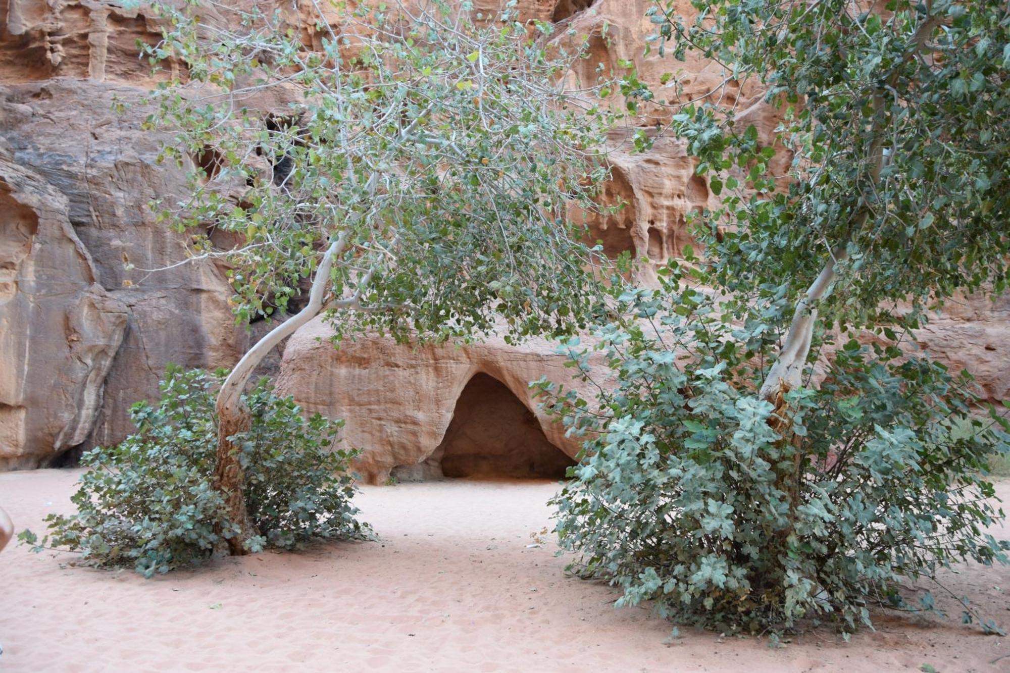 Wadi Rum Nights Kültér fotó
